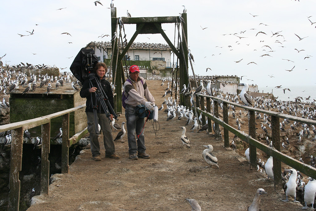 guanoinselmacabiteam